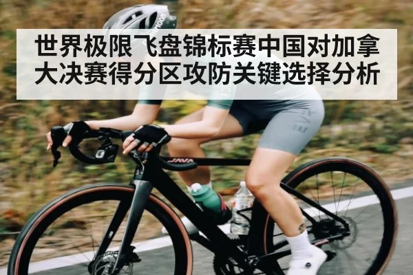 世界极限飞盘锦标赛中国对加拿大决赛得分区攻防关键选择分析